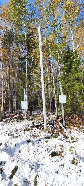 Участок в Свердловская область, Екатеринбург Северка-1 садоводческий ... - Фото 1