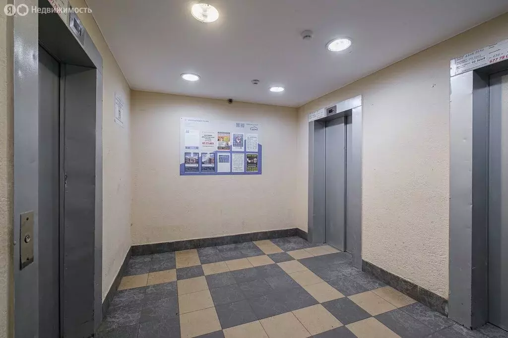 1-комнатная квартира: посёлок Парголово, улица Валерия Гаврилина, 3к1 ... - Фото 1