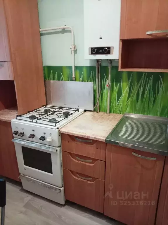 1-к кв. Нижегородская область, Кстово Зеленая ул., 10Б (28.5 м) - Фото 1