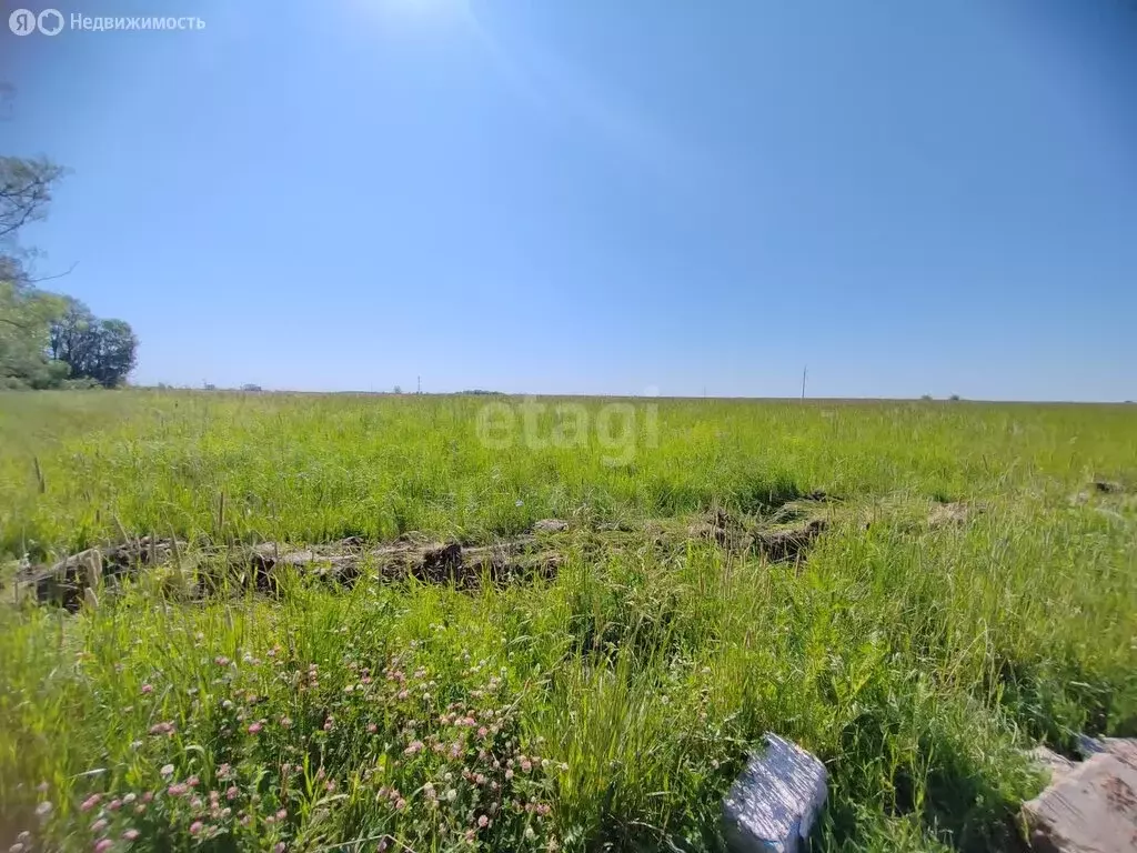 Участок в Московская область, городской округ Коломна, деревня ... - Фото 0