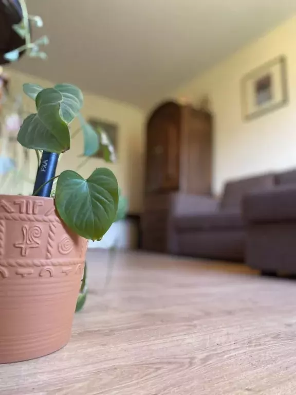 3-к кв. Москва ул. Петра Алексеева, 5 (67.0 м) - Фото 1