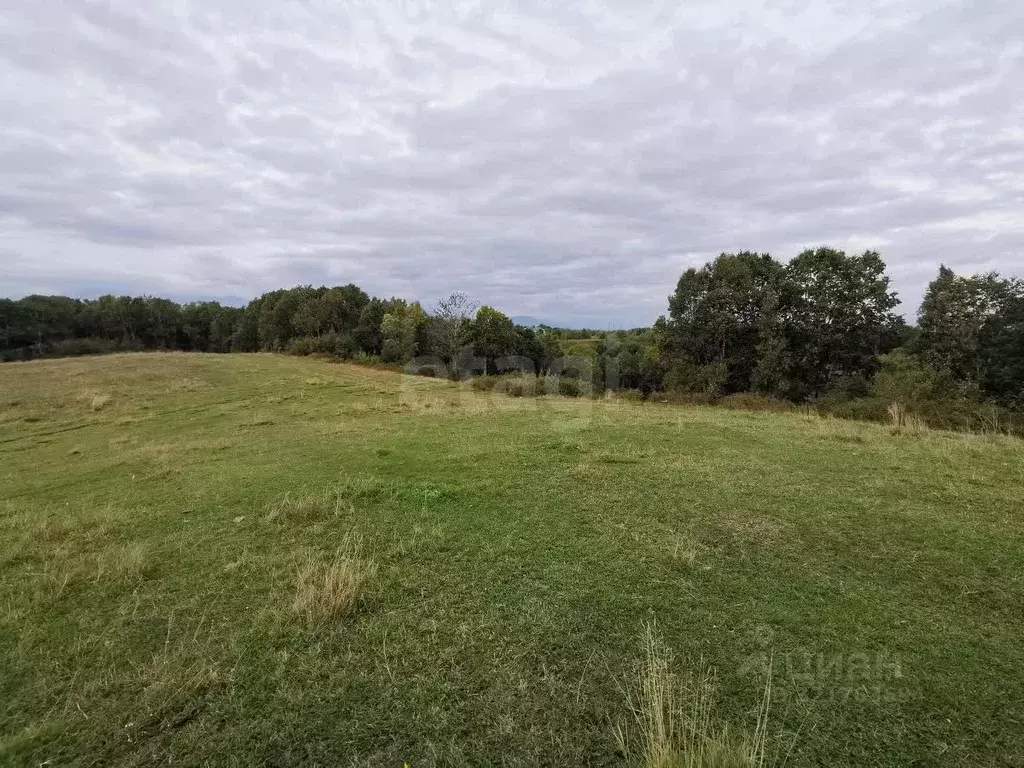 Участок в Камчатский край, Елизовский муниципальный округ, пос. ... - Фото 2