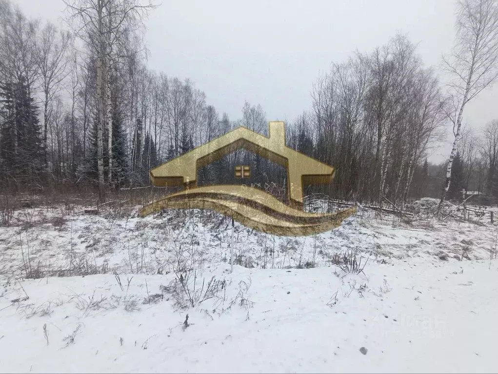 Участок в Пермский край, Березники пос. Новое Суханово,  (15.0 сот.) - Фото 2