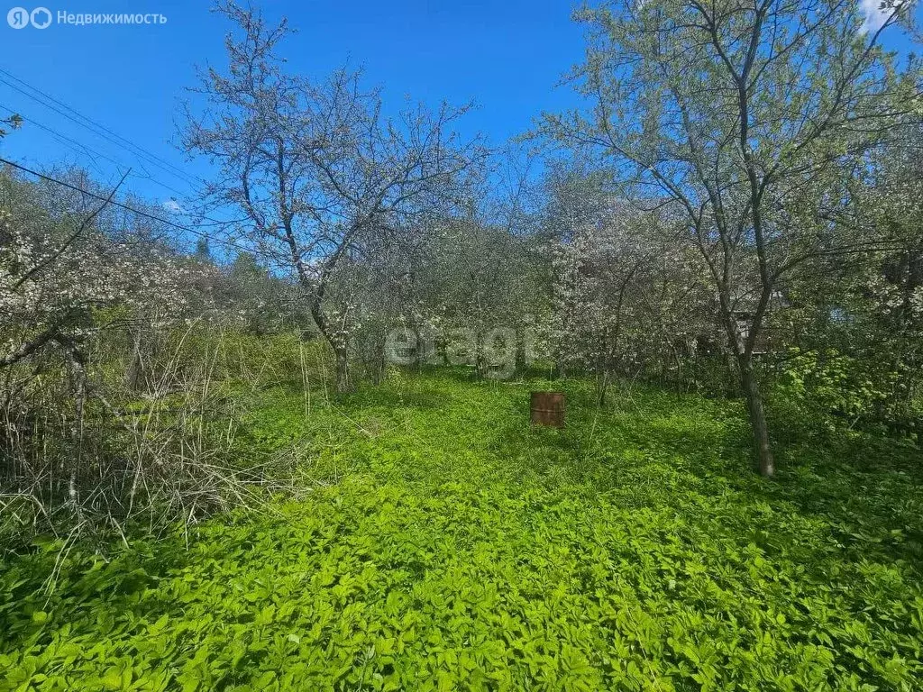 Участок в Нижний Новгород, Приокский район, товарищество собственников ... - Фото 0