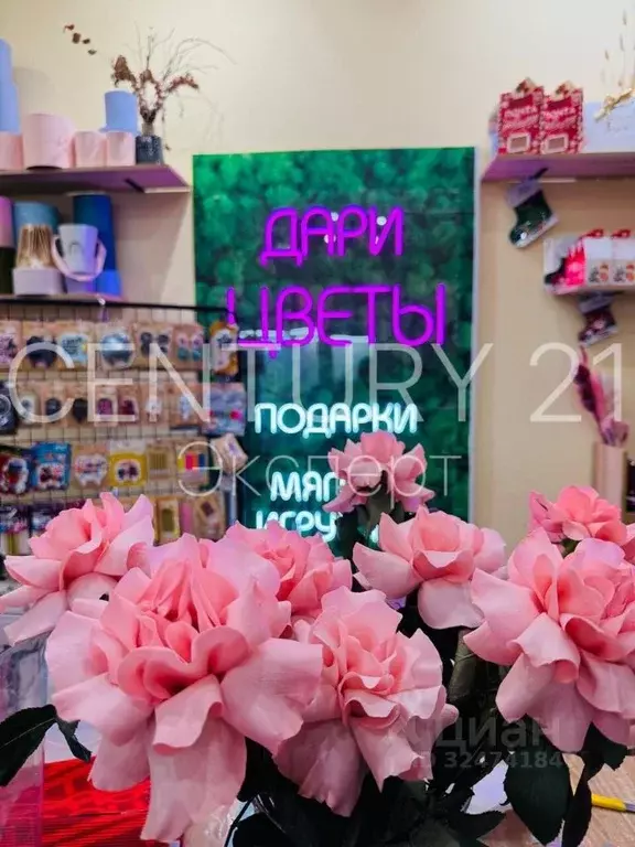 Помещение свободного назначения в Калининградская область, Калининград ... - Фото 2