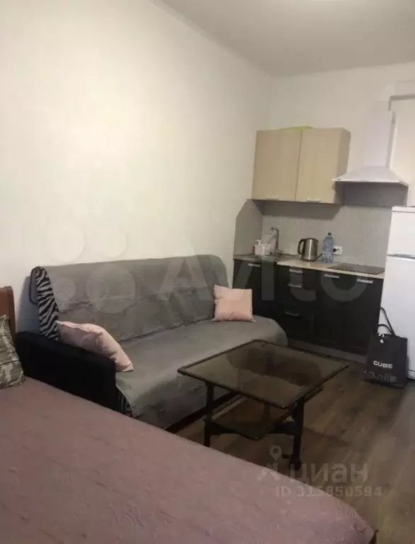 Студия Санкт-Петербург ул. Плесецкая, 20к1 (25.0 м) - Фото 1