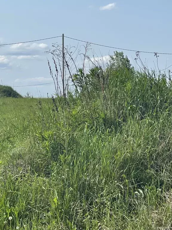 Участок в Московская область, Орехово-Зуевский городской округ, Дачное ... - Фото 0