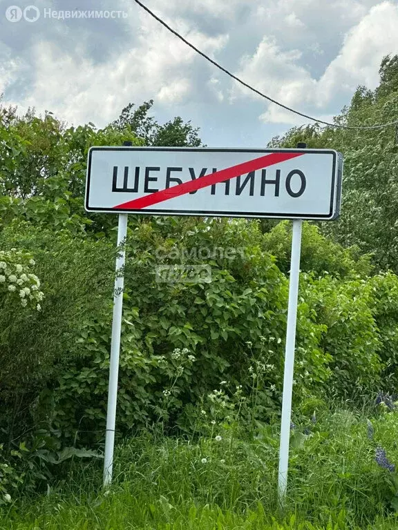 Участок в Ярославский муниципальный округ, Заволжское сельское ... - Фото 0