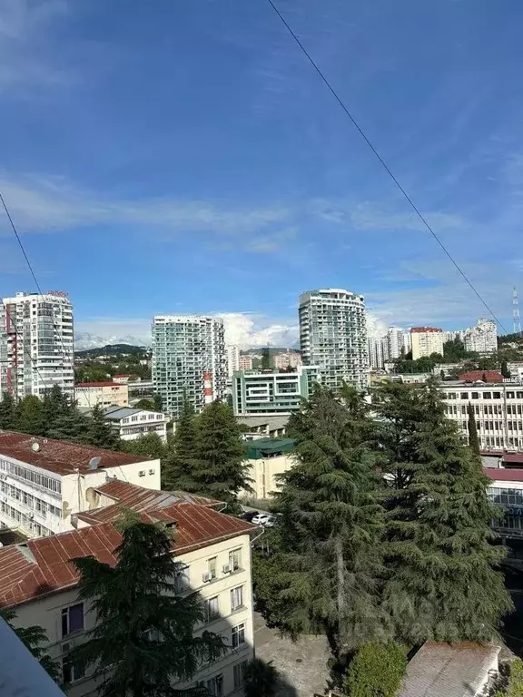 2-к кв. Краснодарский край, Сочи Центральный мкр, ул. Северная, 16 ... - Фото 0