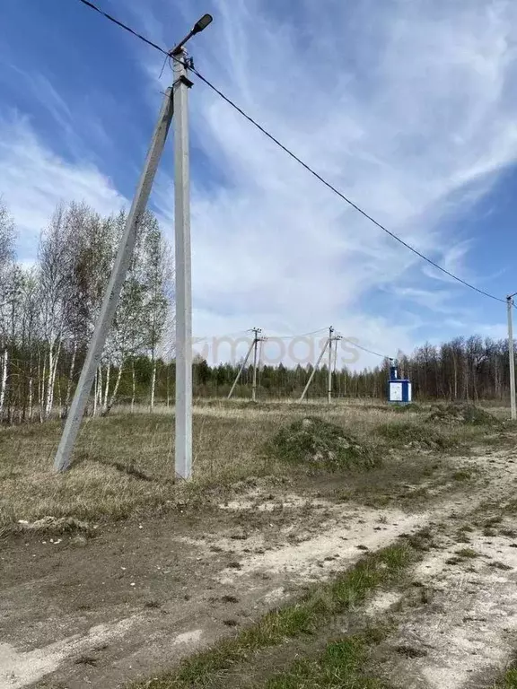 Участок в Тюменская область, Нижнетавдинский район, Сундукуль СНТ  ... - Фото 0