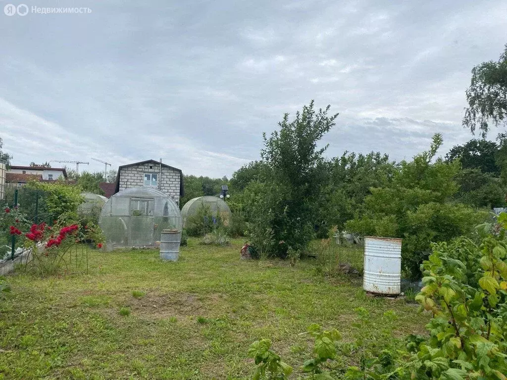 Участок в Калининград, Черноморская улица (6.15 м) - Фото 1