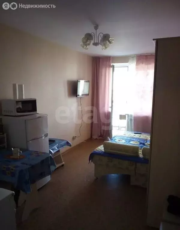 Квартира-студия: Томск, Большая Подгорная улица, 87 (21.9 м) - Фото 2
