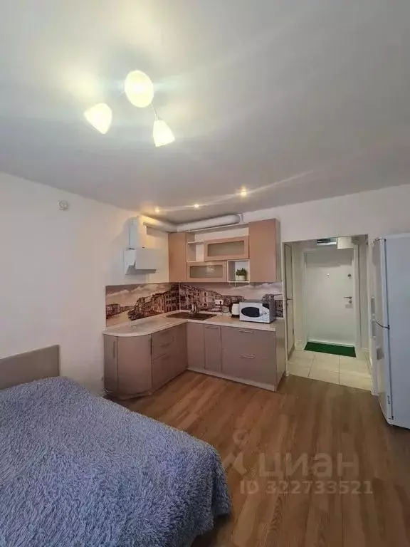 1-к кв. Московская область, Одинцово ул. Каштановая, 16 (27.0 м) - Фото 1