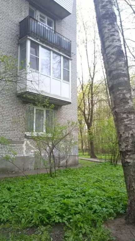 2-к кв. Санкт-Петербург, Санкт-Петербург, Пушкин Оранжерейная ул., 51 ... - Фото 1