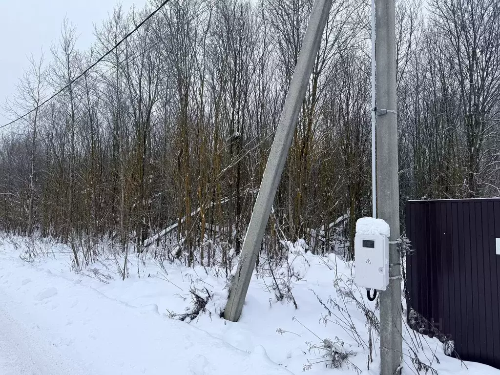 Участок в Московская область, Чехов муниципальный округ, д. Васькино ... - Фото 2