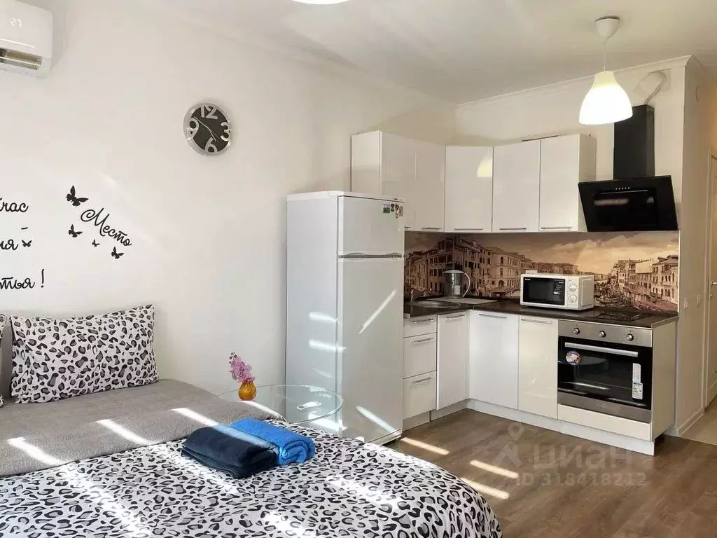 Студия Москва Варшавское ш., 141к6 (27.0 м) - Фото 1