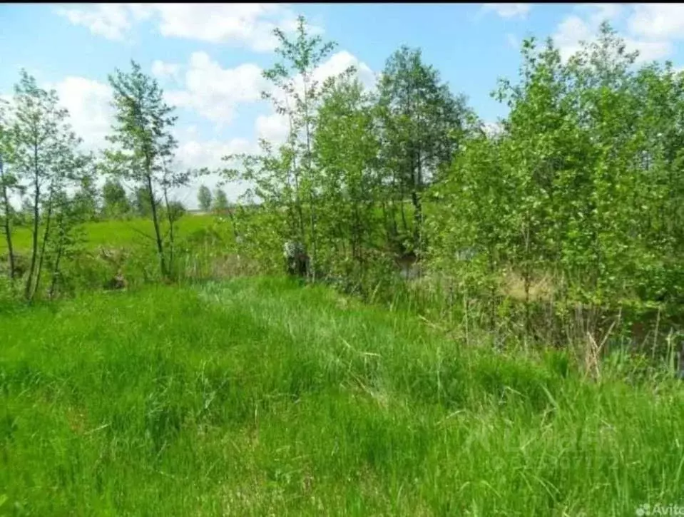 Участок в Краснодарский край, Северский район, Смоленское с/пос, ... - Фото 1