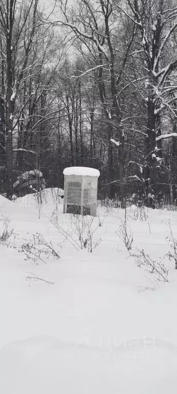 Участок в Башкортостан, Уфимский район, Михайловский сельсовет, д. ... - Фото 1