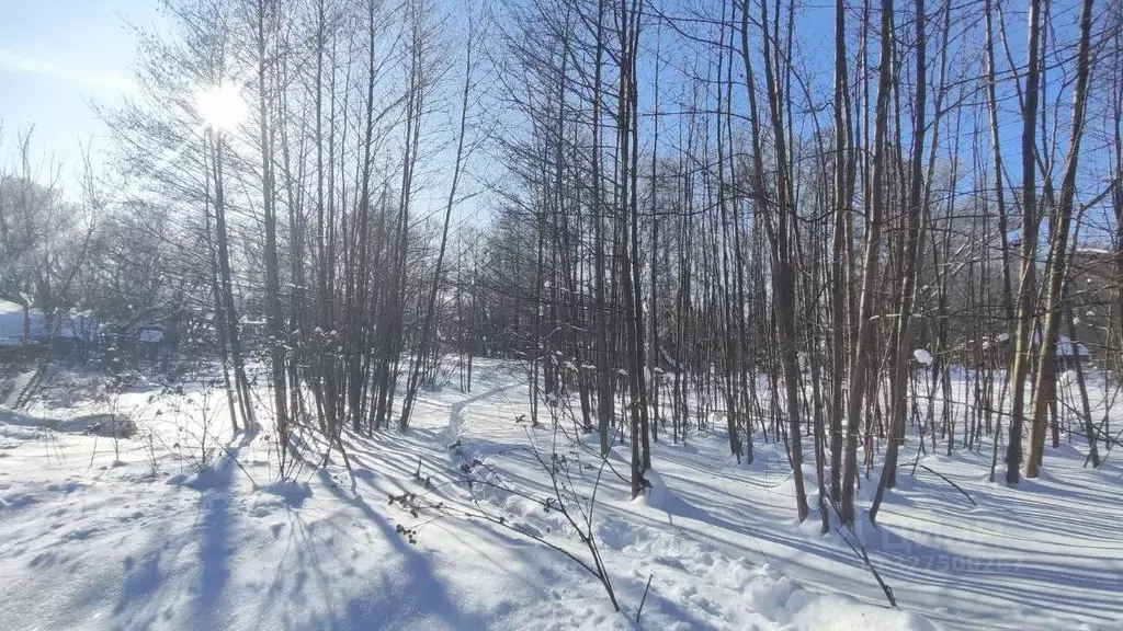 Участок в Московская область, Раменский муниципальный округ, с. ... - Фото 1