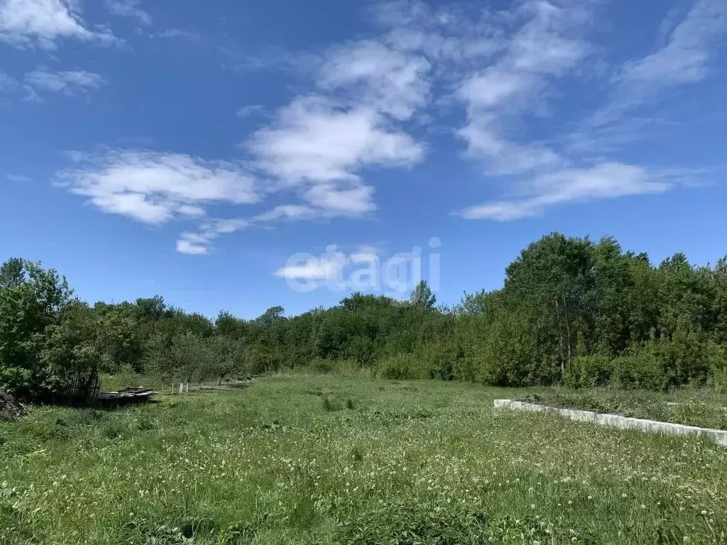 Участок в Белгородская область, Яковлевский муниципальный округ, с. ... - Фото 1