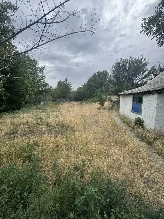 Дача 36 м на участке 10 сот. - Фото 1
