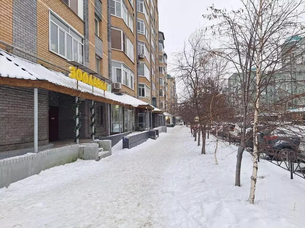 Помещение свободного назначения в Татарстан, Казань Чистопольская ул., ... - Фото 1