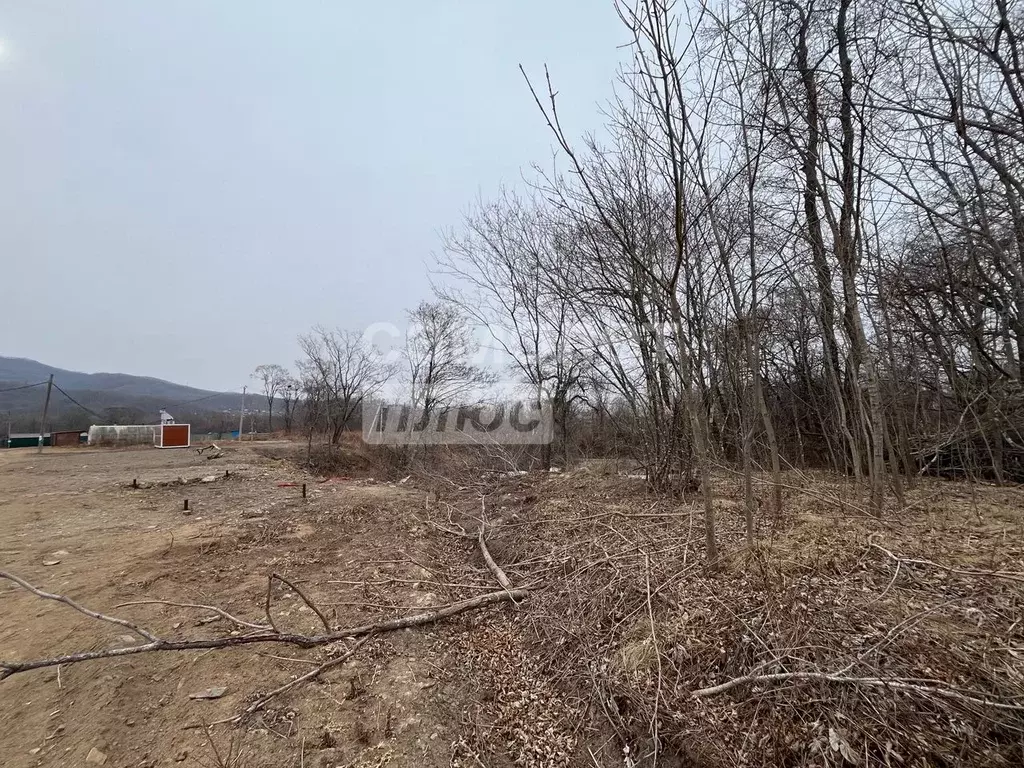 Участок в Приморский край, Фокино ул. Теплый стан, 122 (16.0 сот.) - Фото 2