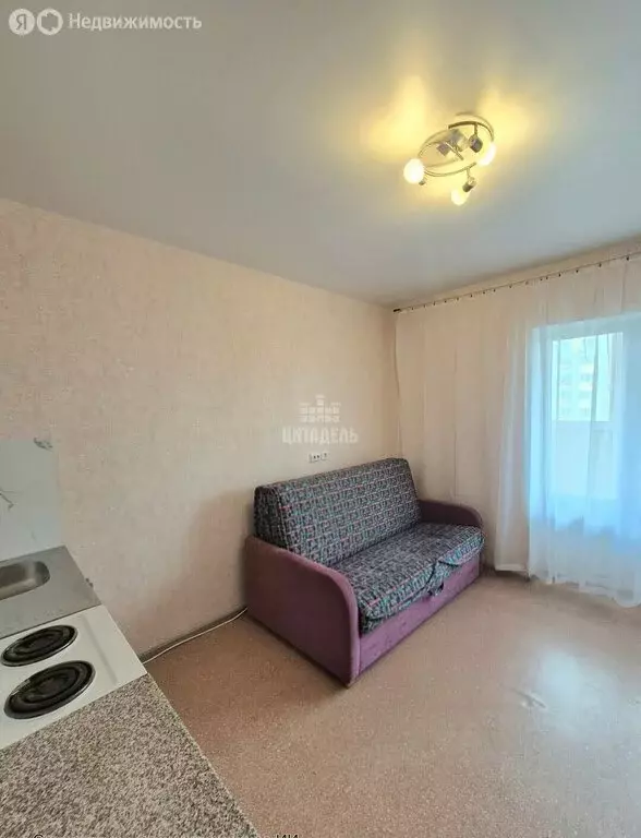 Квартира-студия: посёлок Отрадное, Рубиновая улица, 11 (19.4 м) - Фото 2