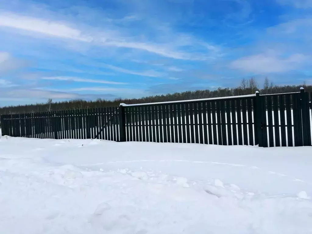 Участок в Московская область, Раменский муниципальный округ, Оттепель ... - Фото 2