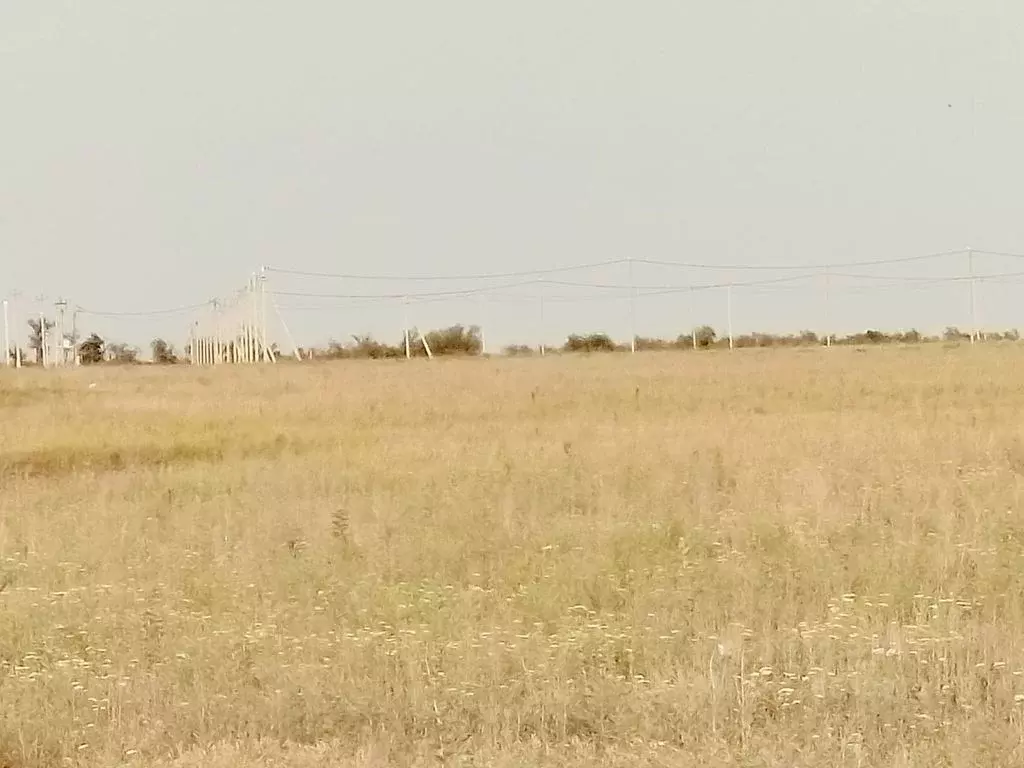 Участок в Оренбургская область, Оренбург городской округ, с. Пруды  ... - Фото 1