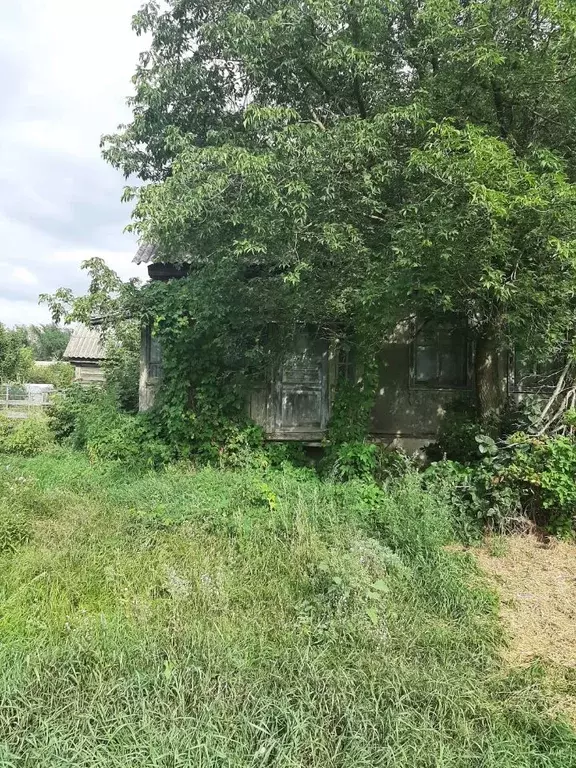Участок в Воронежская область, Рамонское городское поселение, пос. Бор ... - Фото 2