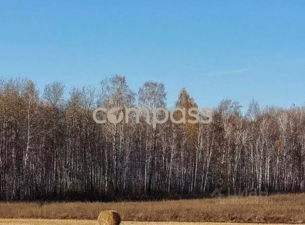 Участок в Тюменская область, Нижнетавдинский район, Березка СНТ  (10.0 ... - Фото 0