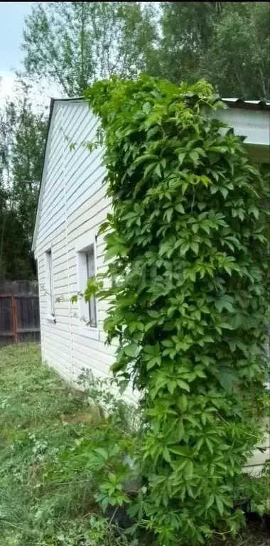 Дом в Вологодская область, Вологда Меркурий садоводческое ... - Фото 1