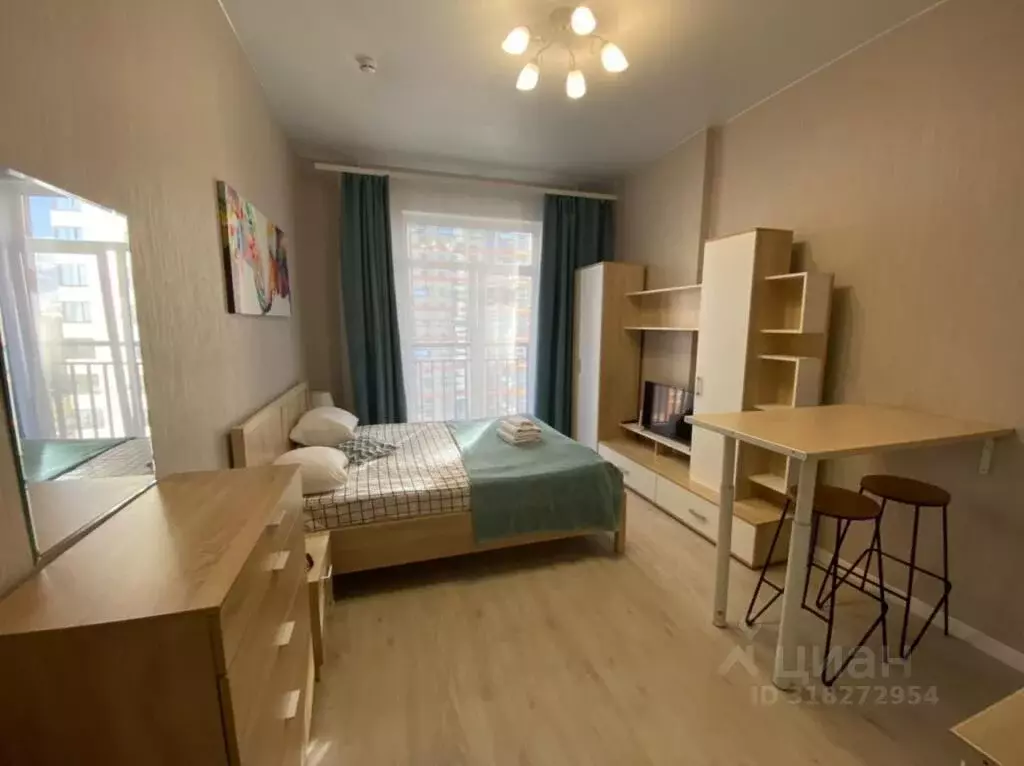1-к кв. Санкт-Петербург Пулковское ш., 14с6 (27.0 м) - Фото 0