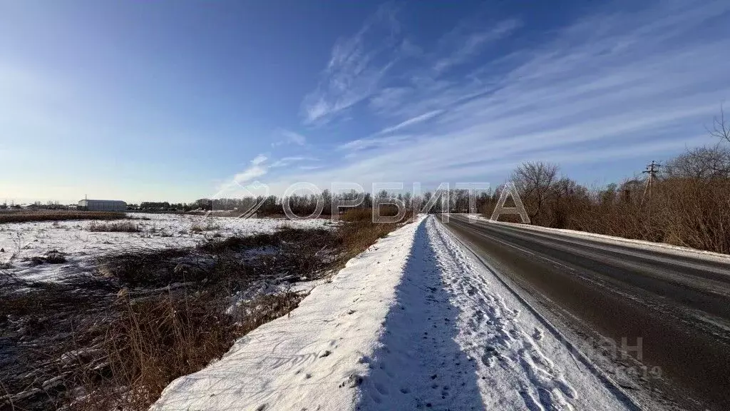 Участок в Тюменская область, Тюмень Велижанский тракт, 7-й км (49.0 ... - Фото 1