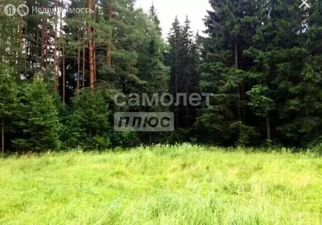 Участок в Кабанский район, посёлок Речка Выдрино (10 м) - Фото 1