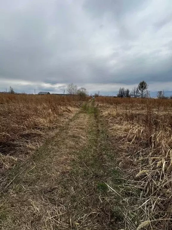 Участок в Хабаровский край, Хабаровский район, с. Ракитное, 73-й кв-л  ... - Фото 2