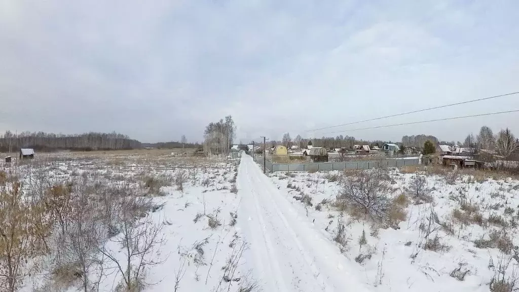 Участок в Тюменская область, Ялуторовский муниципальный округ, ... - Фото 1
