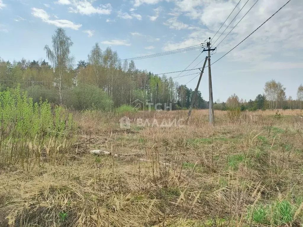 Участок в Московская область, Ногинск Богородский городской округ, ул. ... - Фото 1