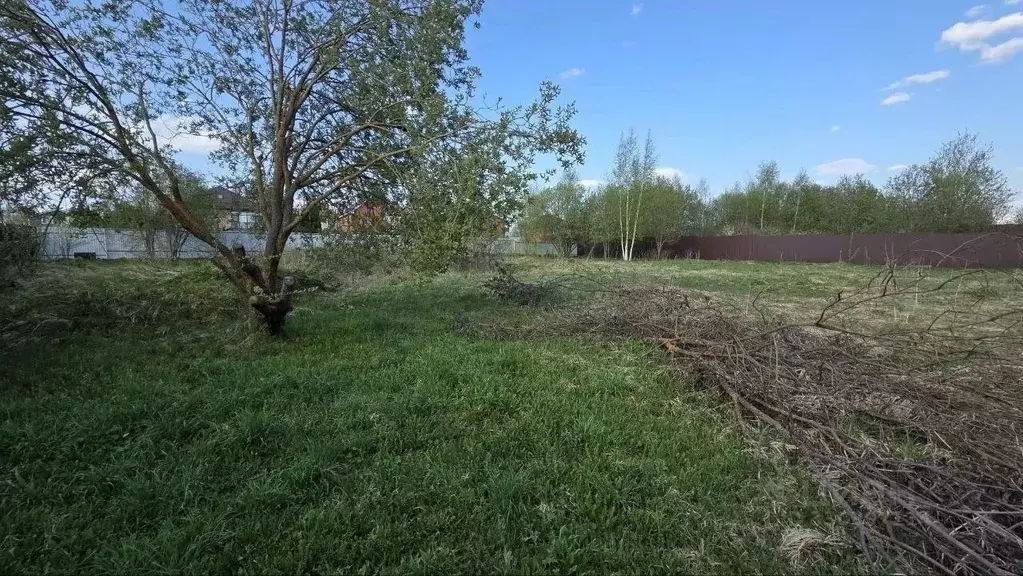 Участок в Московская область, Солнечногорск ул. Хвойная (12.0 сот.) - Фото 2