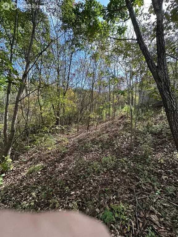 Участок в Артём, садовое некоммерческое товарищество Тополёк (6 м) - Фото 2