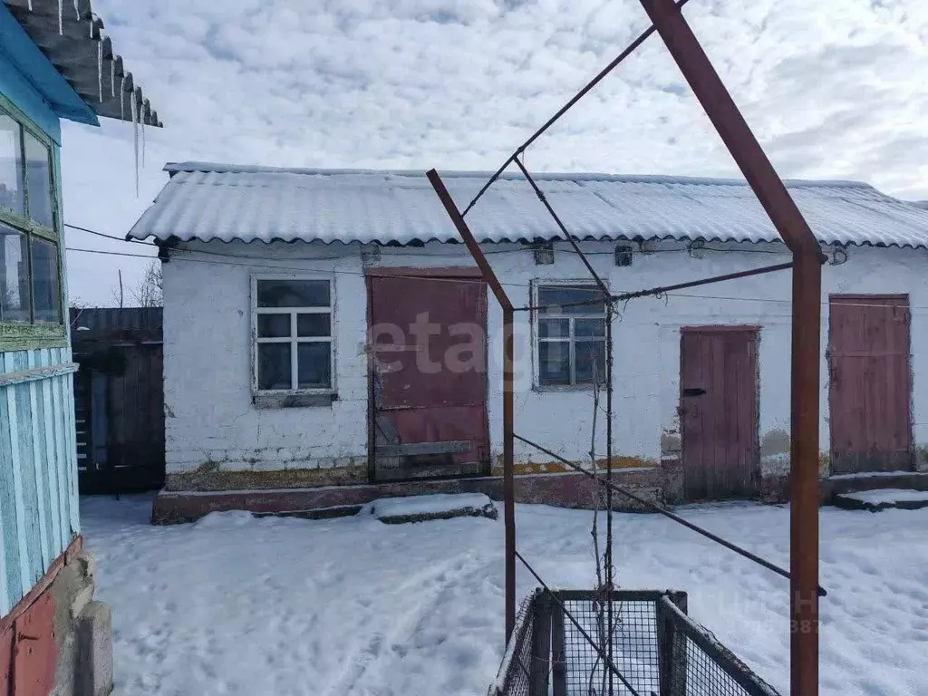 Дом в Белгородская область, Вейделевка рп ул. Колхозная, 81 (35 м) - Фото 1