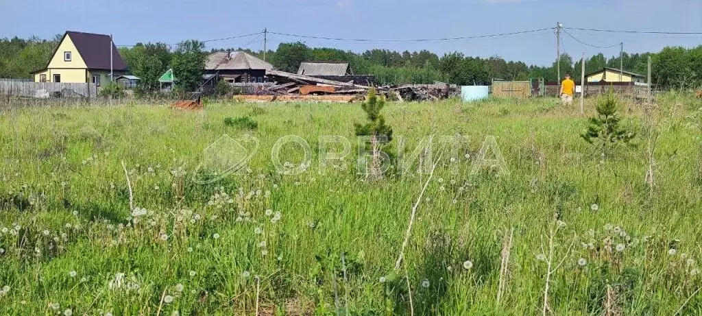 Участок в Тюменская область, Тюменский район, д. Песьянка  (39.0 сот.) - Фото 1