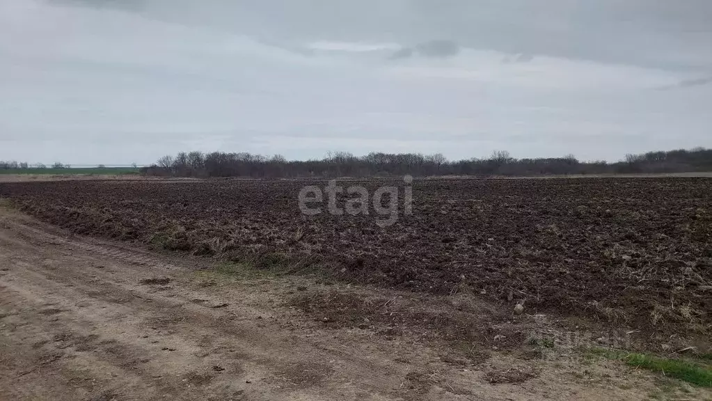 Участок в Адыгея, Теучежский район, Вочепшийское с/пос, Вочепший аул  ... - Фото 1