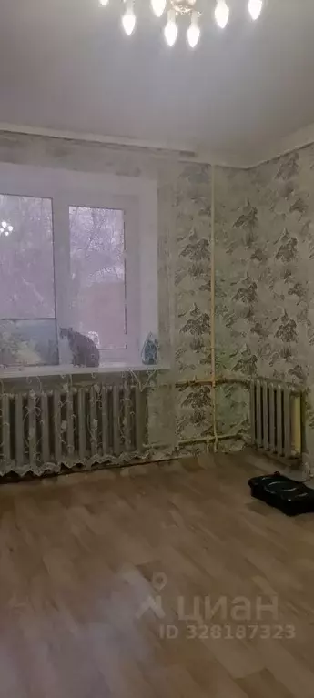 2-к кв. Пермский край, Пермь Брестская ул., 13 (32.5 м) - Фото 1