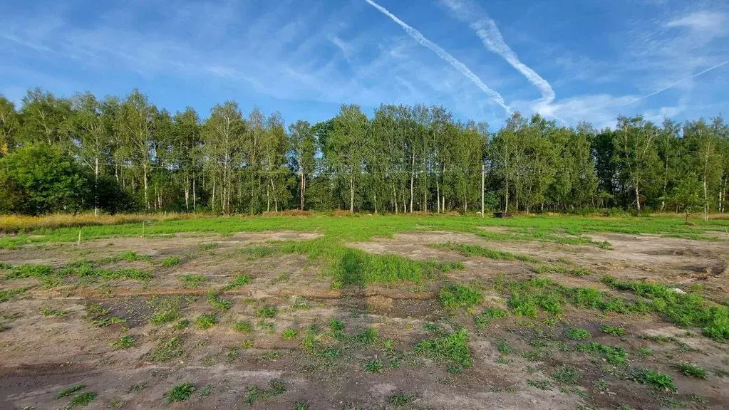 Участок, 24 сот., сельхоз (снт или днп) - Фото 1