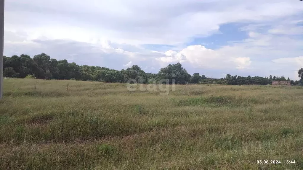 Участок в Белгородская область, Новооскольский муниципальный округ, ... - Фото 0