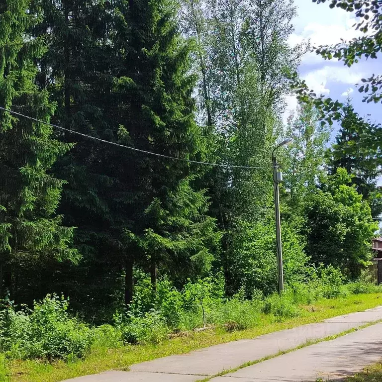Участок в Московская область, Одинцовский городской округ, д. Сивково, ... - Фото 2