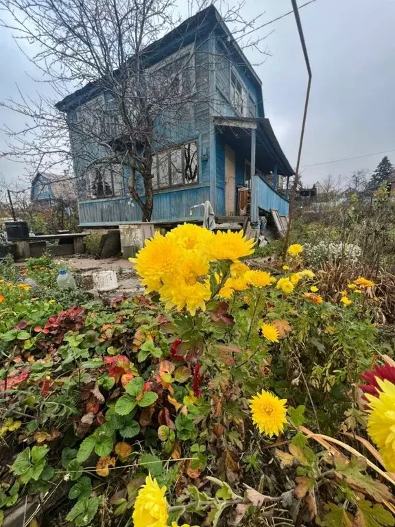 Дом в Татарстан, Казань ул. Контейнерная (29 м) - Фото 1