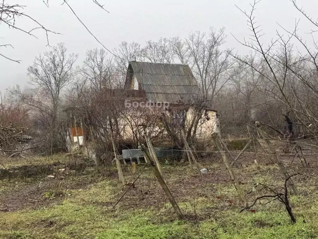 Участок в Крым, Феодосия Восход СПК,  (8.0 сот.) - Фото 1